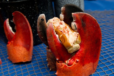 Lobster Roll Rumble