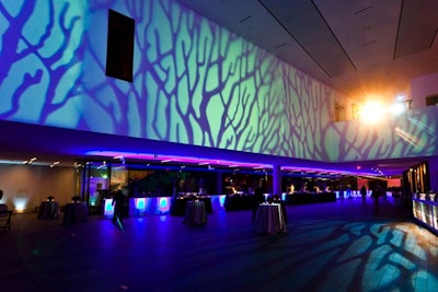 Pattern wash of turquoise blue on walls at de Young Museum in San Francisco, California