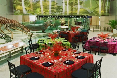 Seated dinners up to 80 guests in the Mammals Hall