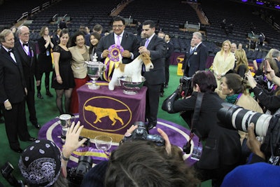 7. Westminster Kennel Club Dog Show