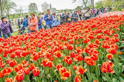 11. Canadian Tulip Festival