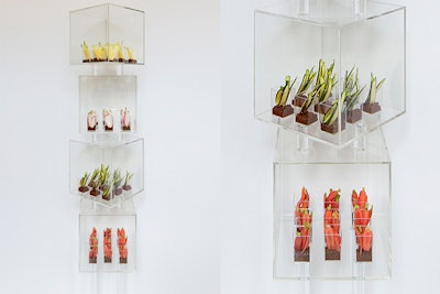Floating Lucite Cube Towers of Individually Composed Garden Crudite