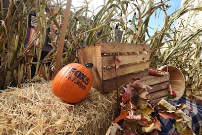 Painted pumpkins advertised the station, the time, the 'Modern Family Nightly' tagline, and the logo of Union Square Partnership, a partner of the public activation.