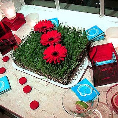 At Target's Lifebeat event at Studio 450, J. Gordon Design decorated the women's restroom with squares of wheatgrass topped with red gerbera daisies--a look reminiscent of the Target logo and its Warhol-esque ad campaigns. Condoms and plastic red dots were scattered around it.