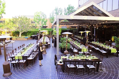 Tiato outdoor patio and surrounding herb garden