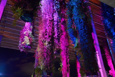 Dramatic lighting highlighted the columns of tropical plants that hang above the museum's veranda.