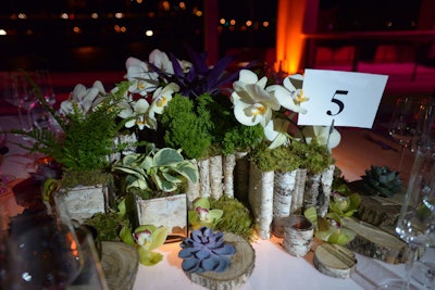 Centerpieces at the Chef's Table were a woodsy display with birch branches, moss, ferns, succulents, and orchids.