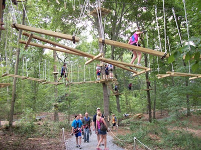 Footpaths & Picnic Tables Under Cimbers at The Adventure Park