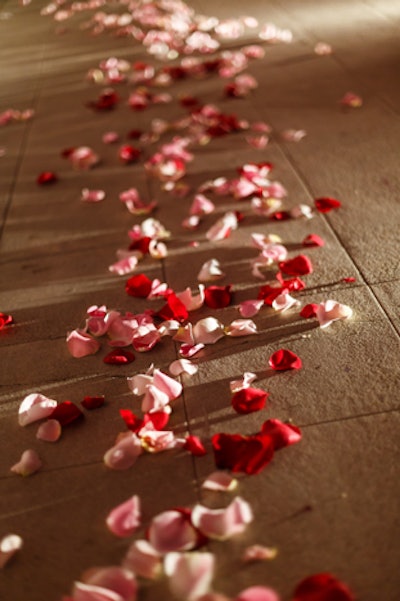 Red and pink rose petals lined the way from the cocktail tent to the dinner tent, adding a romantic accent to the outdoor space.