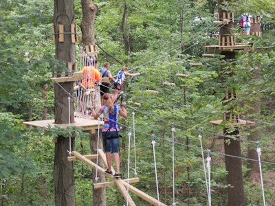 Along an Aerial Trail at The Adventure Park