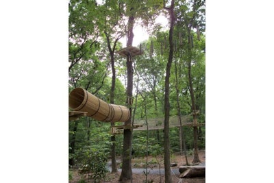 Different tree platform heights for different challenge courses at The Adventure Park