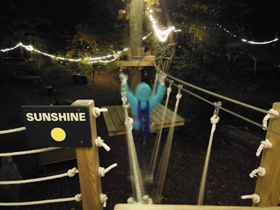 Embarking on a treetop trail at night