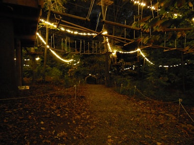 A path beneath the aerial trails at The Adventure Park