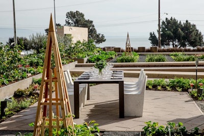 Stem Kitchen & Garden