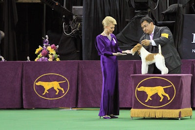 3. Westminster Kennel Club Dog Show