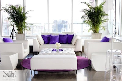 White & purple theme