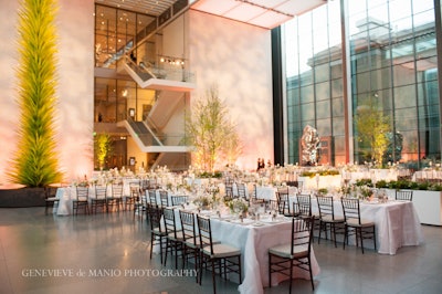 Curated birch trees brought some nature into the MFA and softened the surrounding marble