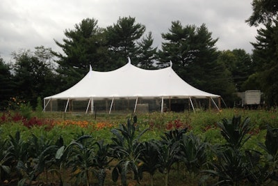 44' x 83' Sailcloth Tent