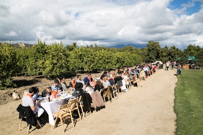 Shock Top brought 75 guests to Limoneira Citrus Ranch in Santa Paula, California, to mark the launch of its seasonal Lemon Shandy beverage and to promote its 72 Degrees and Shock Top campaign.