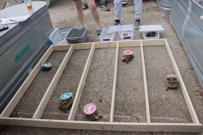 Brooklyn Brewery’s Tortoise Races