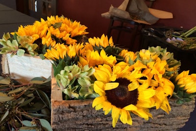 Sunflowers