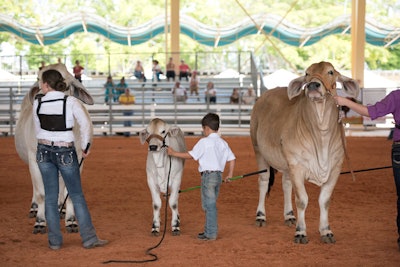 4. Miami International Agriculture & Cattle Show