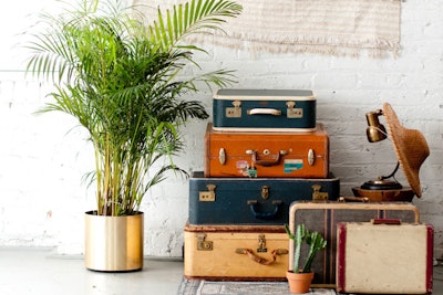 Suitcases, $20 each, ­available nationwide from Patina