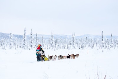 10. Yukon Quest