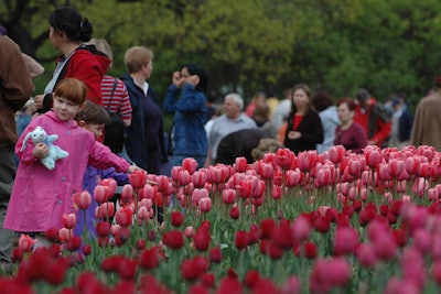 8. Canadian Tulip Festival