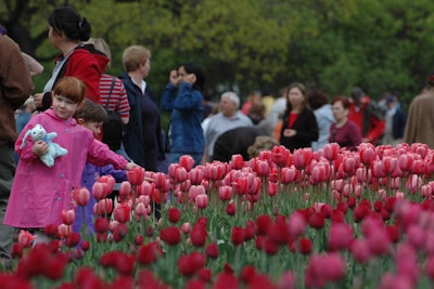 8. Canadian Tulip Festival