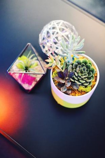 Instagrammable tabletop decor like succulents, terrariums, and other objects encouraged social sharing.