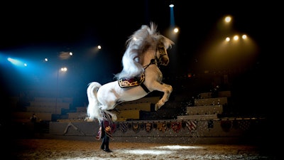 Spectacular Horsemanship