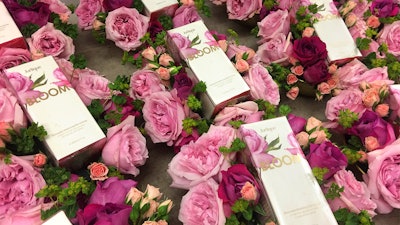 Jurlique garden rose mailing for beauty editors, 2015