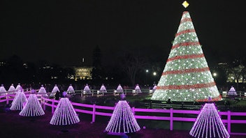 3. National Christmas Tree Lighting