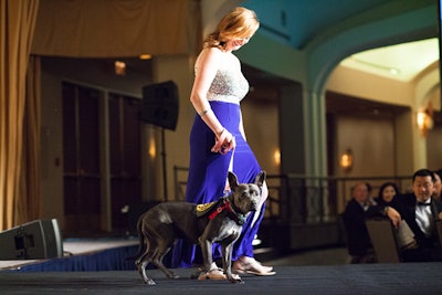 25. Washington Humane Society Bark Ball