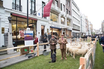 Wool Week