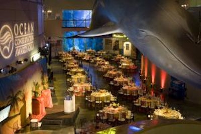 The Great Hall of Long Beach’s Aquarium of the Pacific is a magical venue for receptions, dinners, and events. The Aquarium of the Pacific offers many one-of-a-kind settings for unforgettable memories.