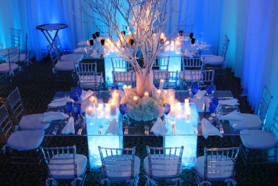 Ice Communal Table, White Birch Tree Centerpiece, Clear Chiavari Chairs