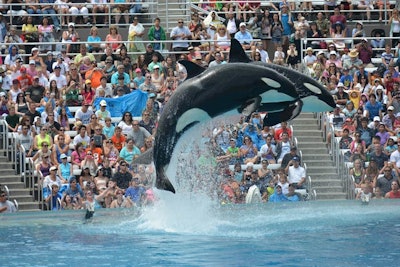 SeaWorld announced it would phase out its traditional Shamu show by 2017.