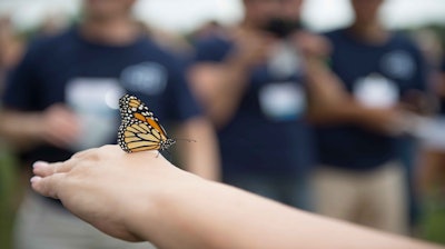 The Event Group® Monarch Butterfly Release