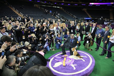3. Westminster Kennel Club Dog Show