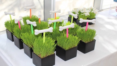 American Society for the Prevention of Cruelty to Animals branded dog bone centerpieces