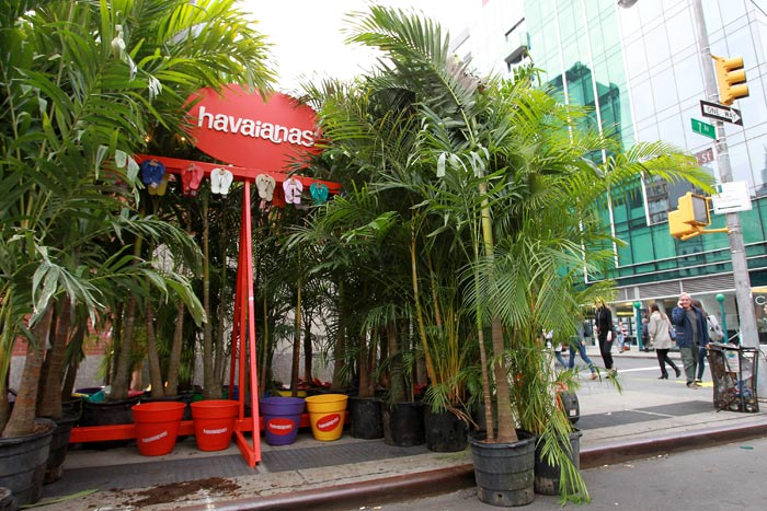 havaianas palm tree flip flops
