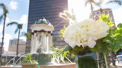 A wedding reception in the historic park