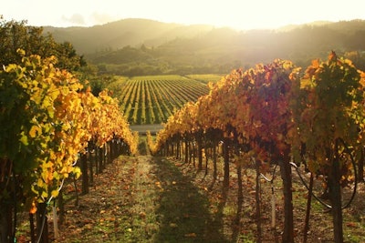 1. Wine Road Barrel Tasting in Sonoma