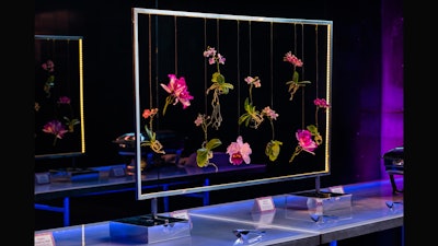Orchids suspended in a custom HMR light frame for a corporate event.