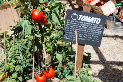 At the end of the day, visitors were able to take home the fresh produce that was on display inside the giant jar.