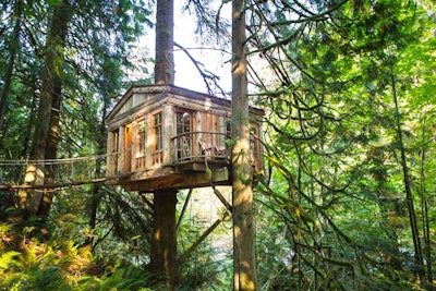 TreeHouse Point