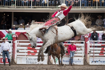 2. Calgary Stampede