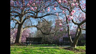 The beautiful Glover Park neighborhood